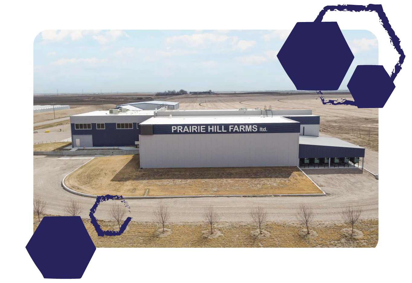 About Us Prairie Hill Farms Ltd.